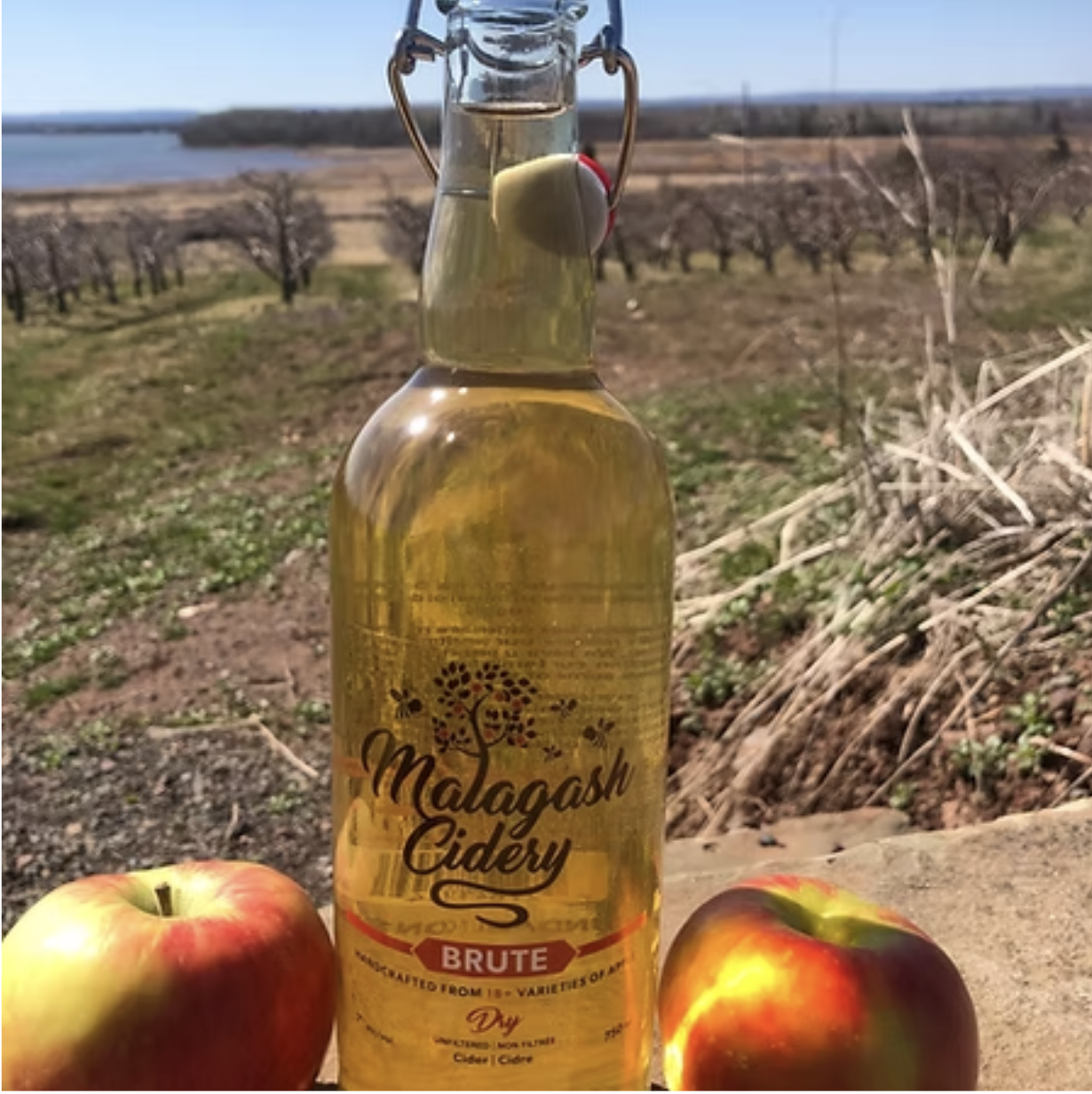 Vista Bella Farm cider bottle