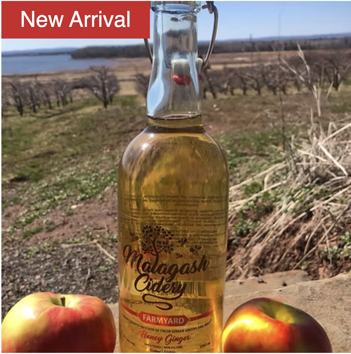 Vista Bella Farm cider bottle