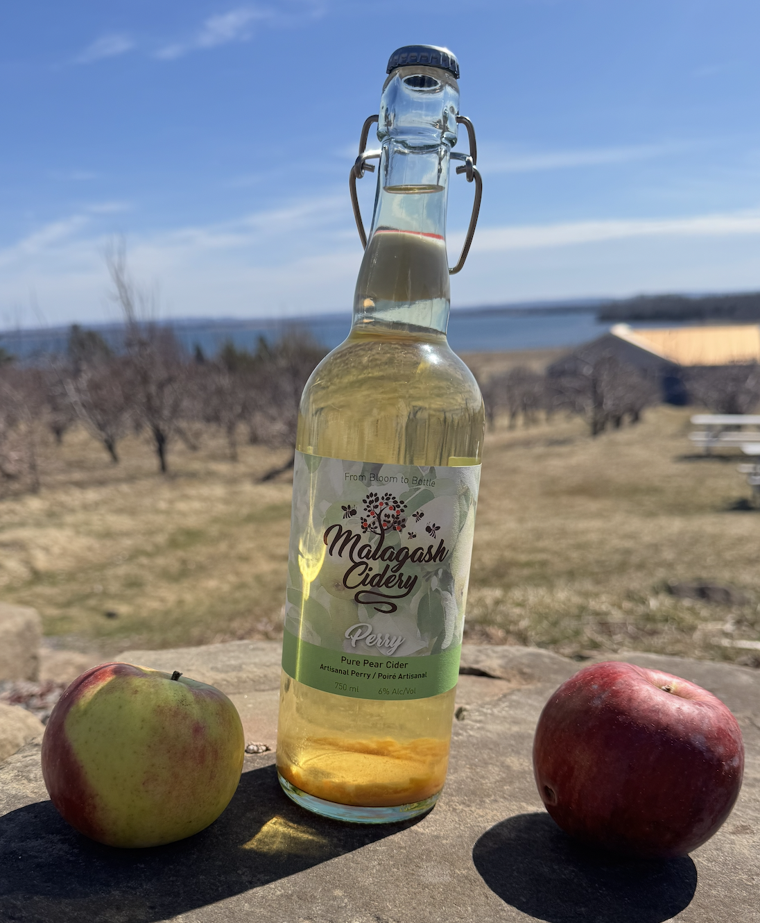 Perry cider bottle