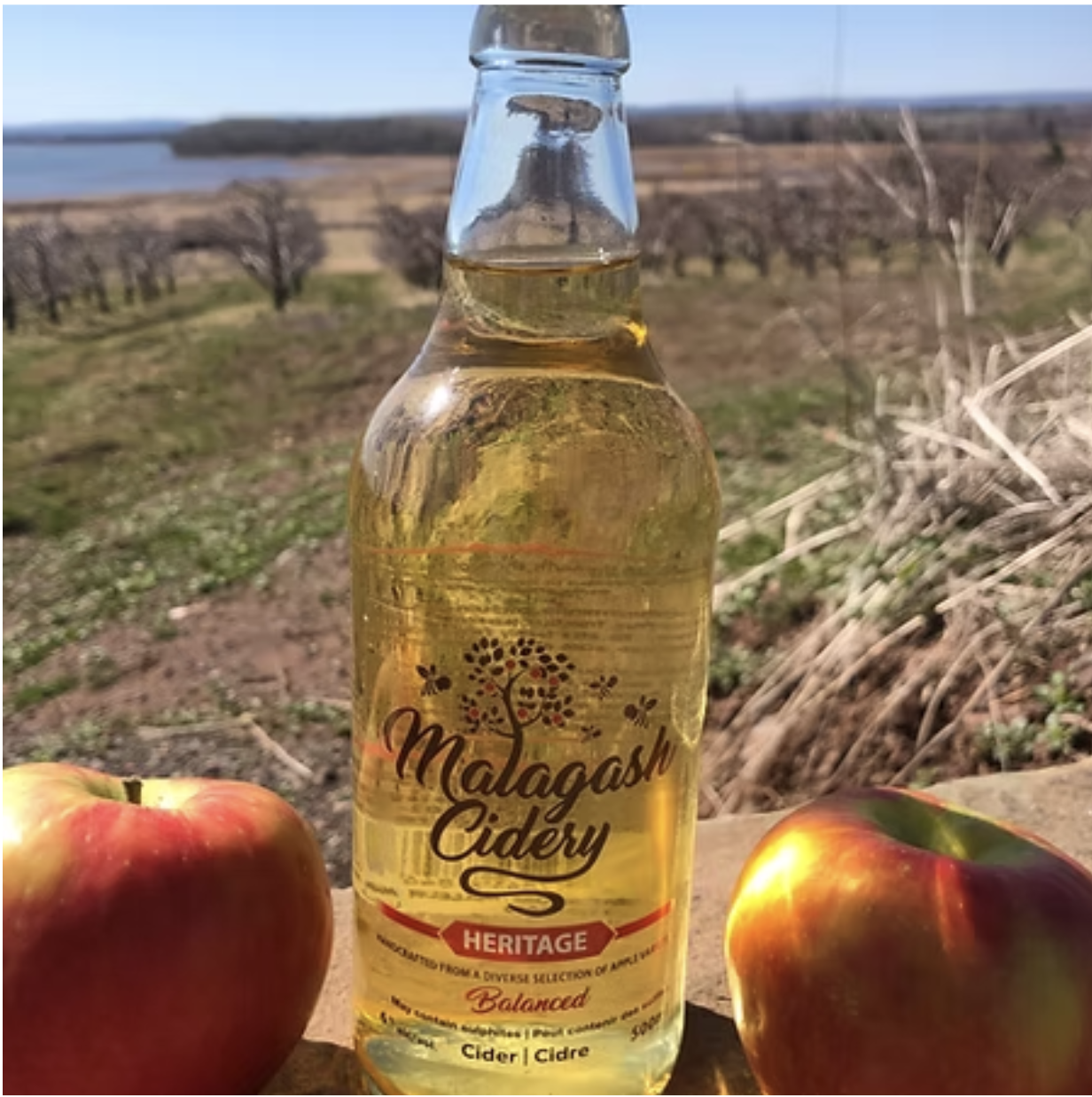 Vista Bella Farm cider bottle